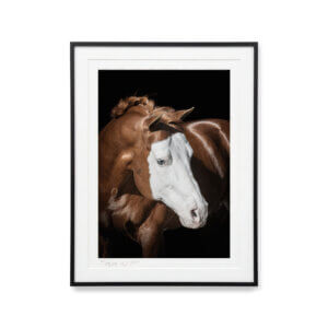 Colonels Smoking Gun I — The Iconic Portrait